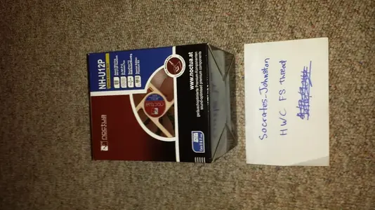 noctua.webp