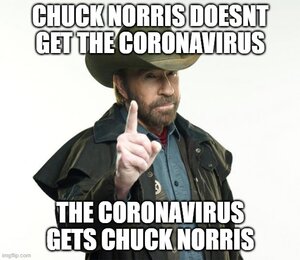 Chuck Norris Coronavirus.jpg