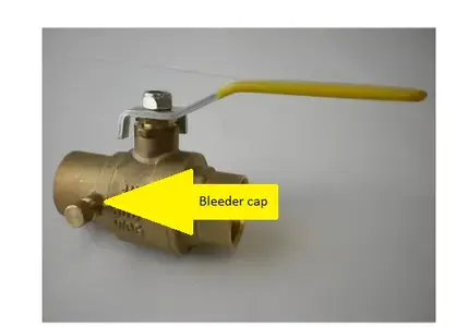 bleeder valve.png
