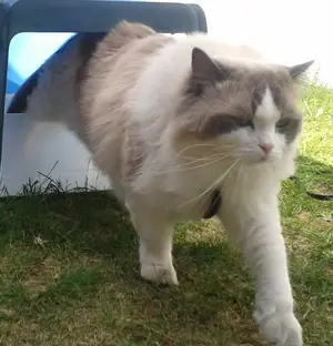 IMG_20170816_133450 Crop2.webp