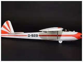 Gö 1 Wolf _ 3D printed vintage glider.png
