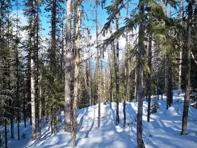 100_6676.2.webp