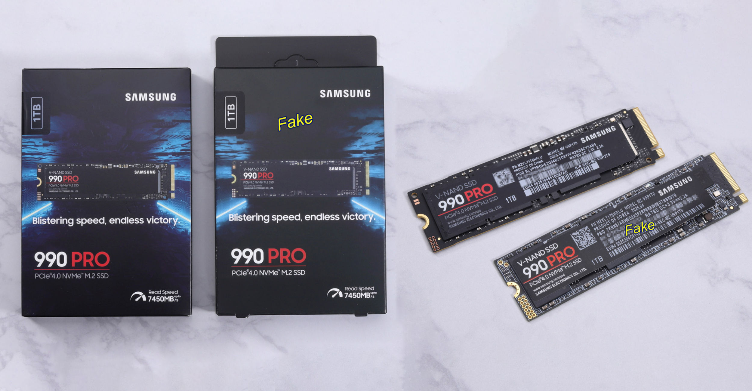 videocardz.com