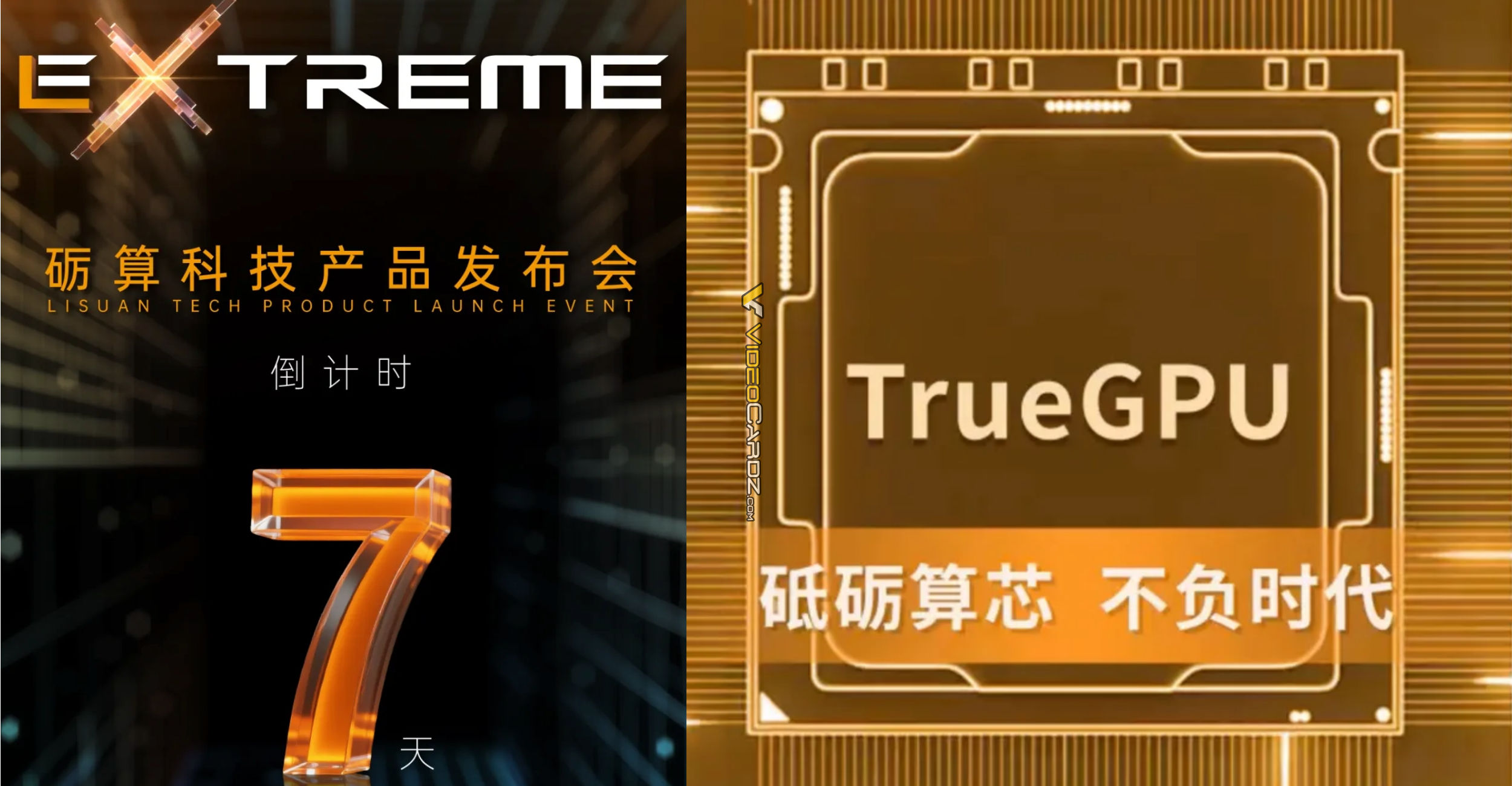 videocardz.com