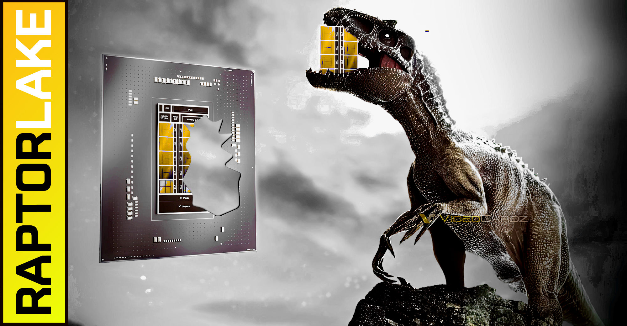 videocardz.com